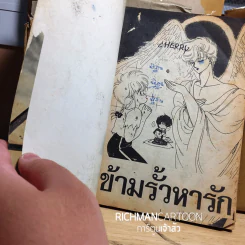 ข้ามรั้วหารัก สภาพไม่ค่อยสวย รูปที่ 2