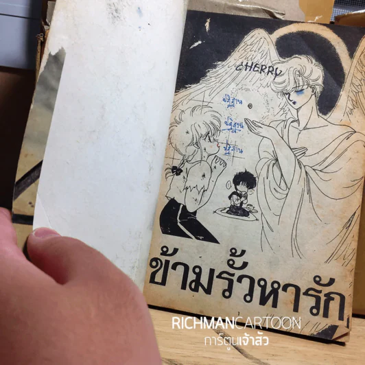 ข้ามรั้วหารัก สภาพไม่ค่อยสวย รูปที่ 2