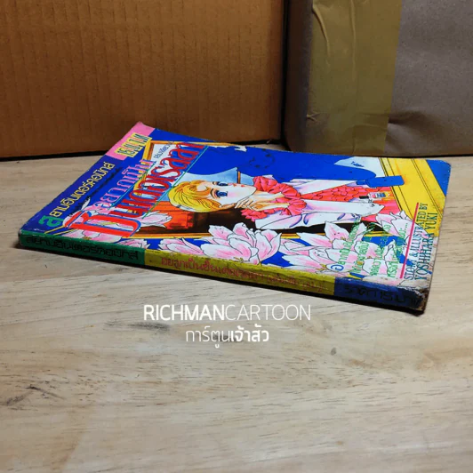 อยากเป็นซินเดอเรลลา รูปที่ 2