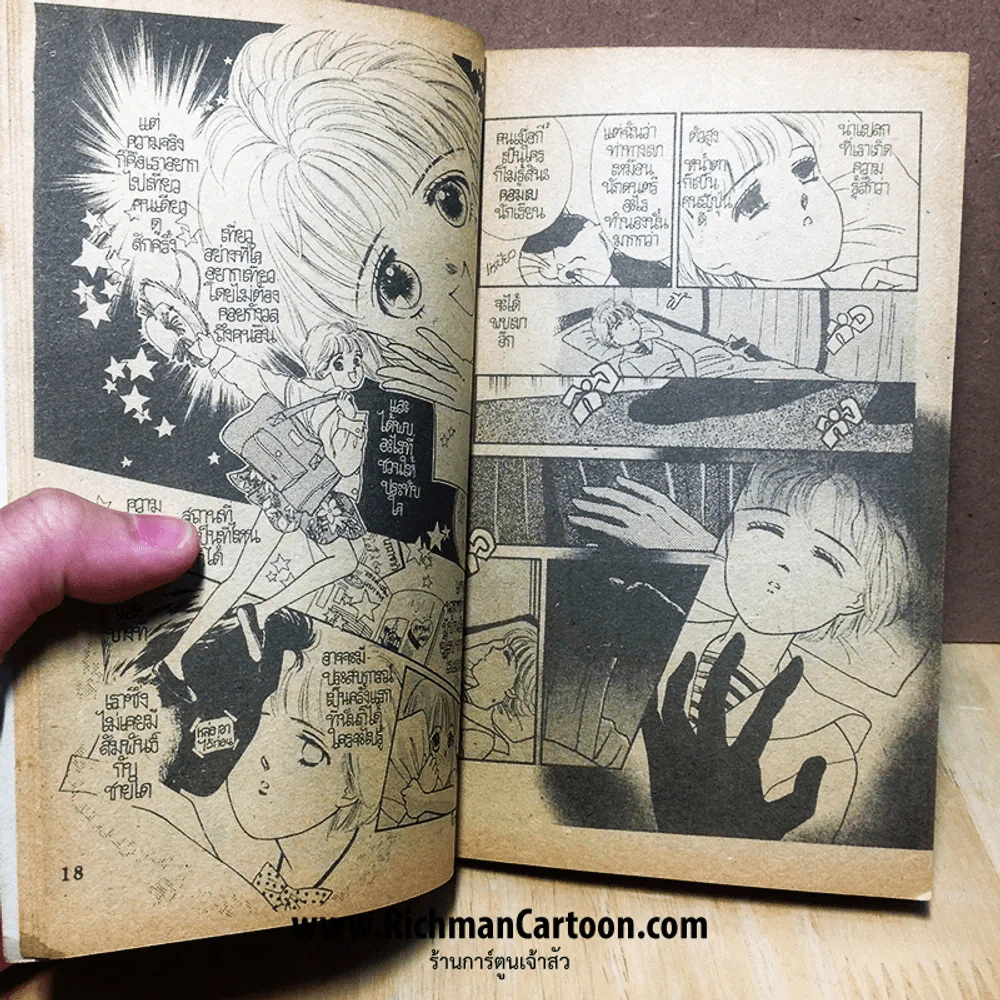 สืบซ่อนเงื่อน ผลงานของ Yamaura Hirotasu/Urakawa Kaya รูปที่ 3