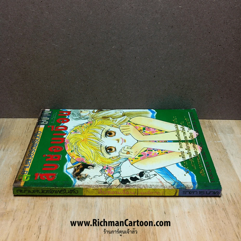 สืบซ่อนเงื่อน ผลงานของ Yamaura Hirotasu/Urakawa Kaya รูปที่ 2