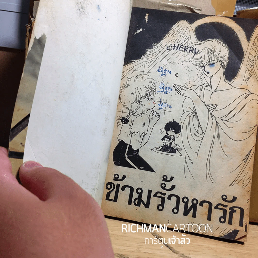 ข้ามรั้วหารัก สภาพไม่ค่อยสวย รูปที่ 2