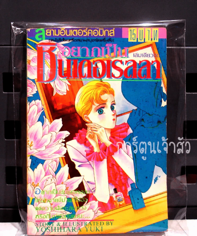 อยากเป็นซินเดอเรลลา รูปที่ 3