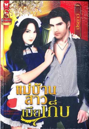 แม่บ้านสาวเมียเก็บ รูปที่ 1