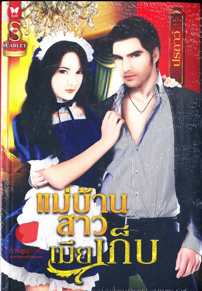 แม่บ้านสาวเมียเก็บ รูปที่ 1
