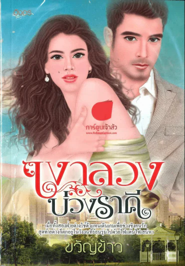เงาลวงบ่วงราคี รูปที่ 1
