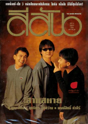 สีสัน ปีที่ 13 ฉบับที่ 8 รูปที่ 1