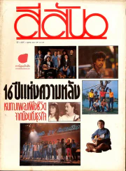 สีสัน ปีที่ 2 ฉบับที่ 11 รูปที่ 1