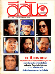 สีสัน ปีที่ 8 ฉบับที่ 4 รูปที่ 1