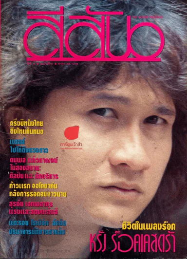สีสัน ปีที่ 4 ฉบับที่ 6 รูปที่ 1