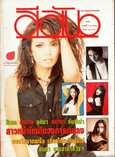 สีสัน ปีที่ 6 ฉบับที่ 8 รูปที่ 1