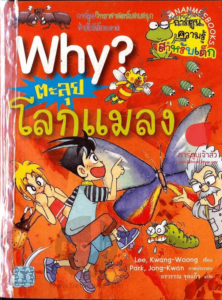 ตะลุยโลกแมลง รูปที่ 1