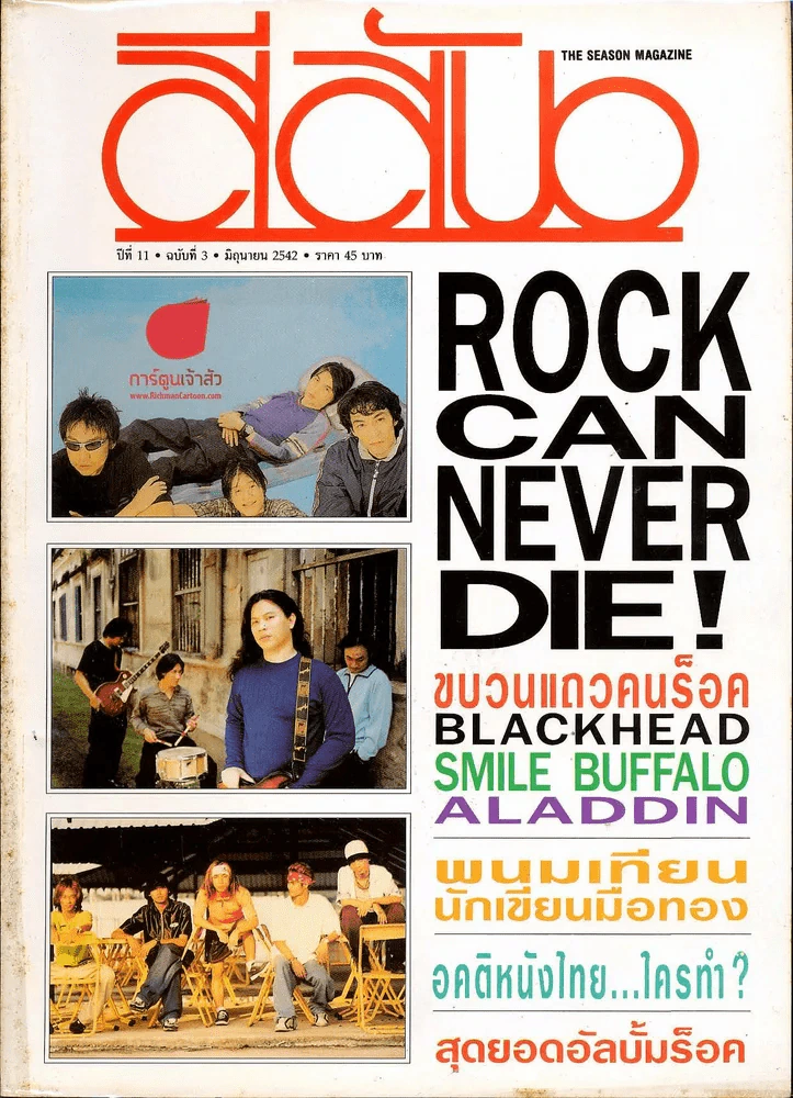 สีสัน ปีที่ 11 ฉบับที่ 3 ปี 2542 (ด้านหลังมีรอยคราบน้ำ) รูปที่ 1
