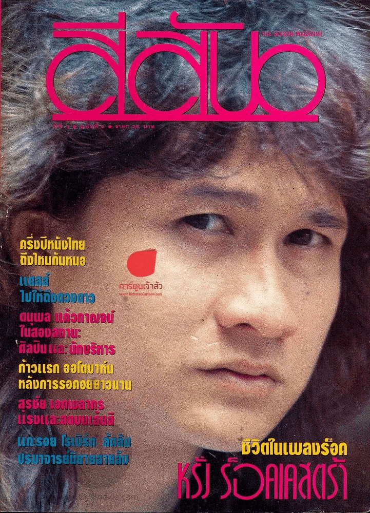 สีสัน ปีที่ 4 ฉบับที่ 6 รูปที่ 1