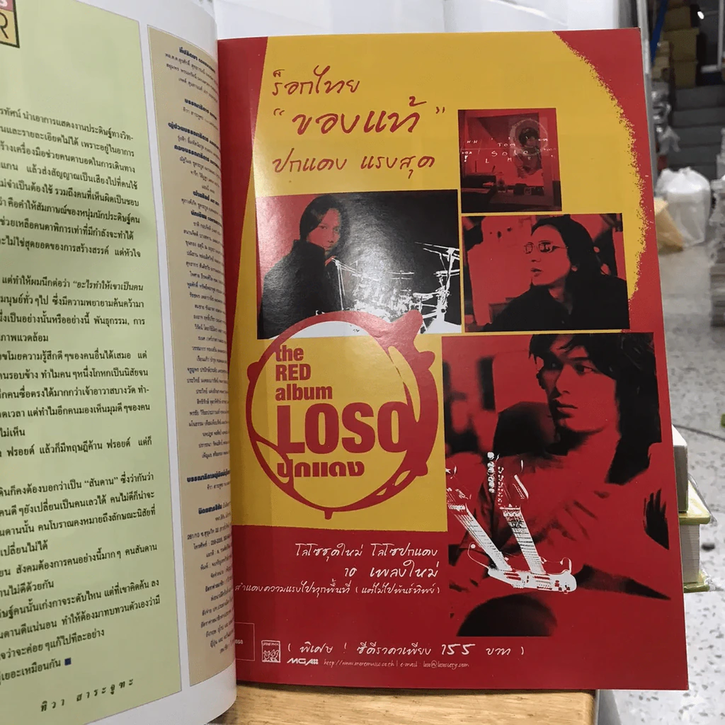 สีสัน ปีที่ 13 ฉบับที่ 4 รูปที่ 2