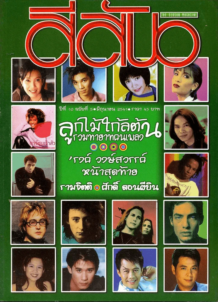 สีสัน ปีที่ 10 ฉบับที่ 5 รูปที่ 1