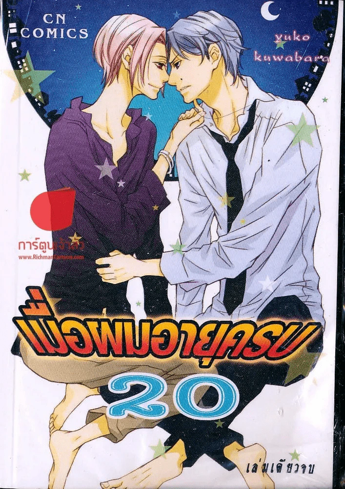 เมื่อผมอายุครบ 20 รูปที่ 1