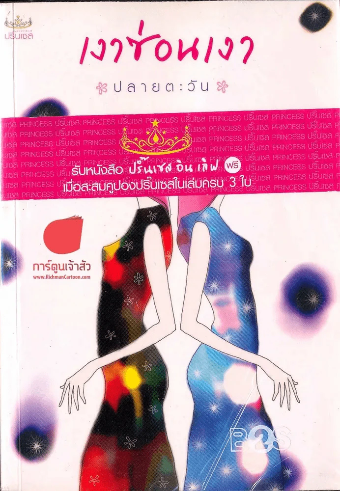 เงาซ่อนเงา รูปที่ 1