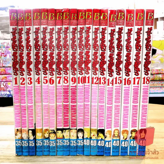 หนุ่มหล่อเฟี้ยวแปลงโฉมสาว เล่ม 1-18 รูปที่ 2