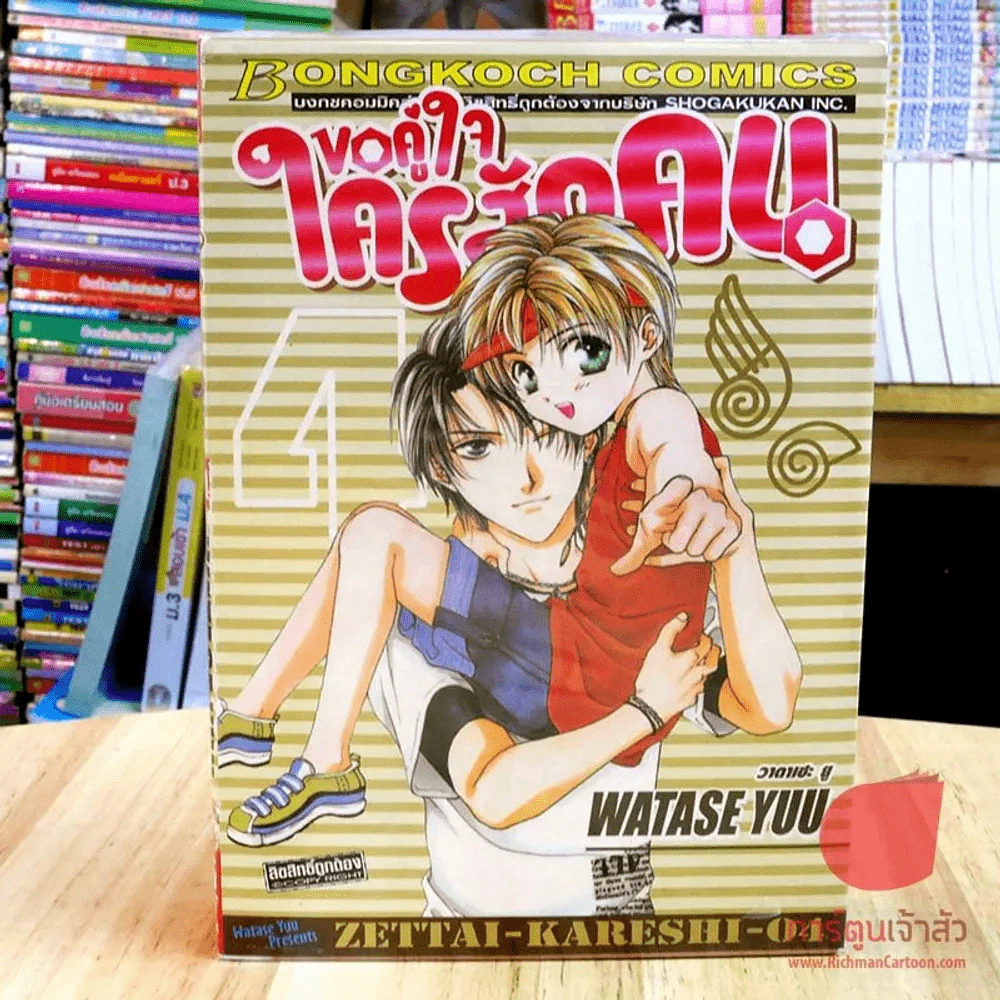ขอคู่ใจใครสักคน เล่ม 1-4 (6 เล่มจบ) รูปที่ 2