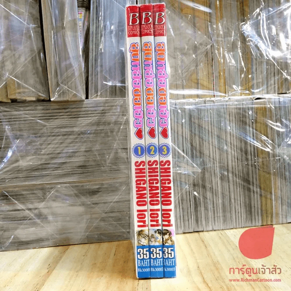 สุดหล่อขอเฮ้ว เล่ม 1-3 (7 เล่มจบ) รูปที่ 2