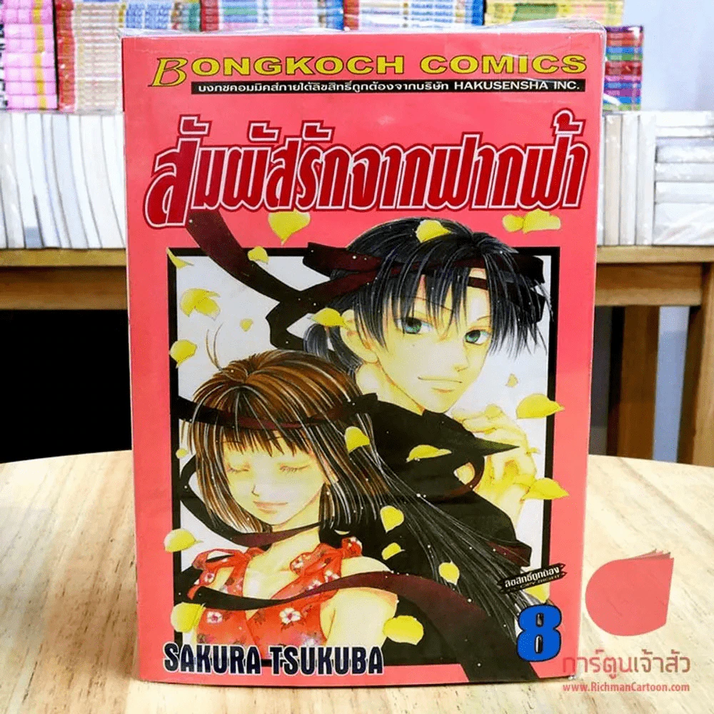 สัมผัสรักจากฟากฟ้า 9 เล่มจบ (ขาดเล่ม 9) รูปที่ 3