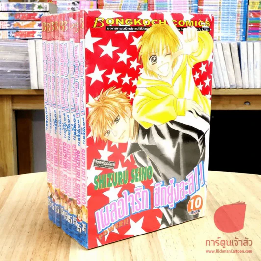 เผลอใจรักชักยุ่งละสิ 10 เล่มจบ (ขาดเล่ม 9) รูปที่ 1