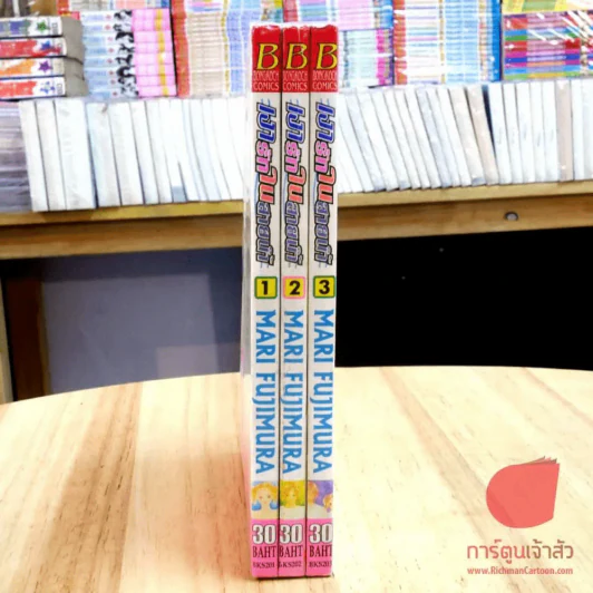 เงารักในสายน้ำ 3 เล่มจบ รูปที่ 3