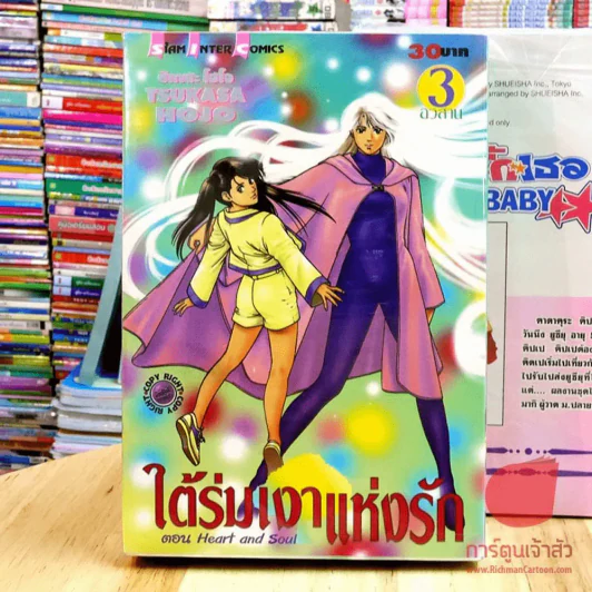 ใต้ร่มเงาแห่งรัก 3 เล่มจบ (คนวาดซิตี้ฮันเตอร์) รูปที่ 3