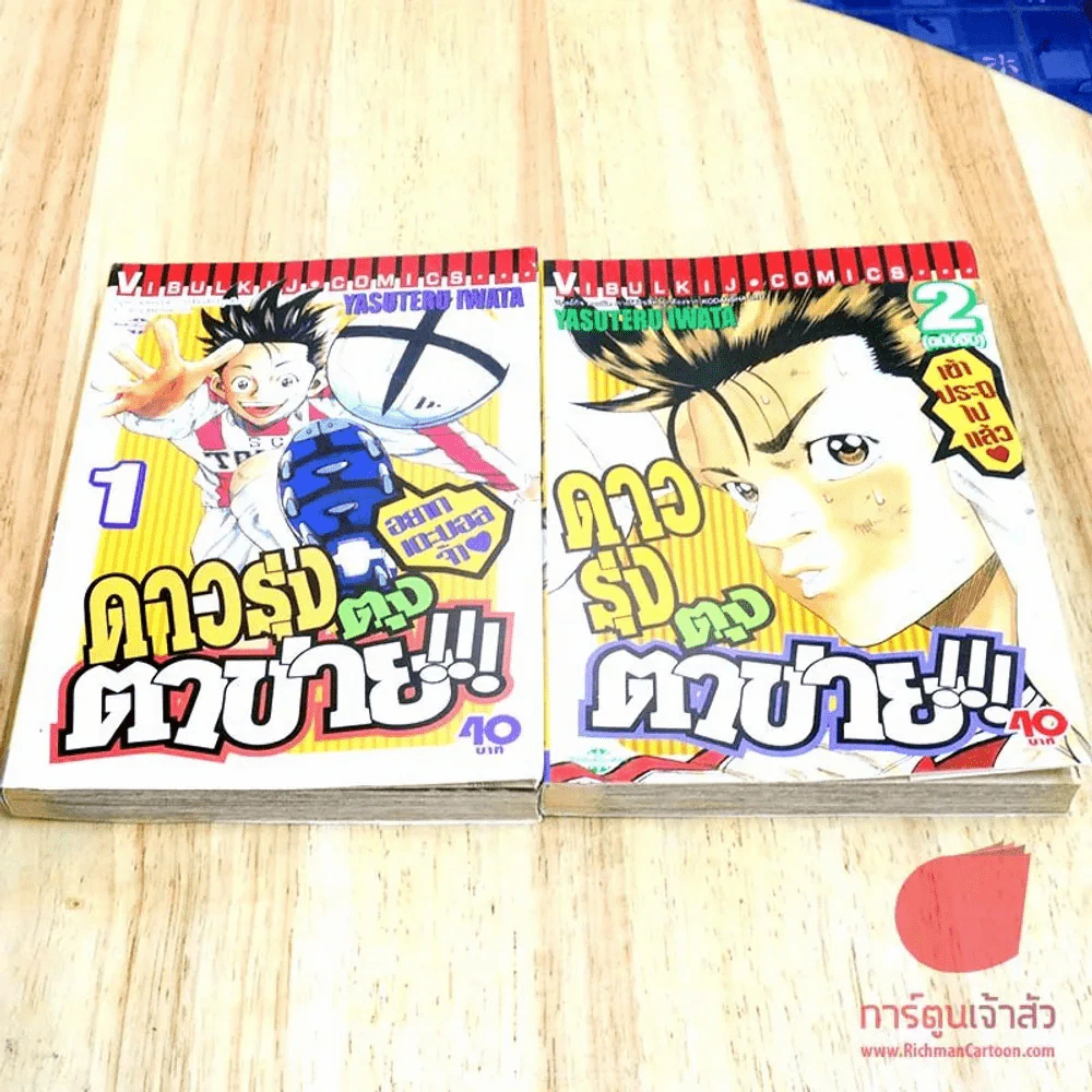 ดาวรุ่งตุงตาข่าย 2 เล่มจบ รูปที่ 2