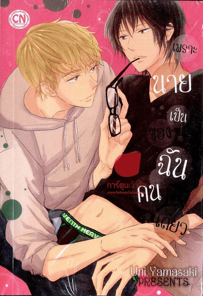 เพราะนายเป็นของฉันคนเดียว รูปที่ 1