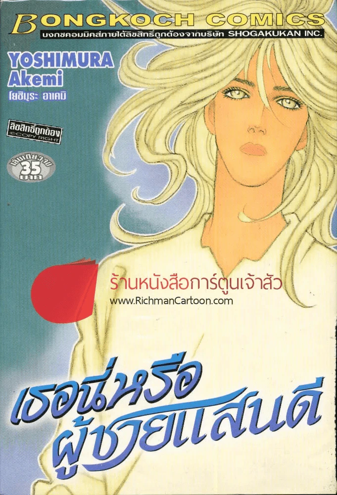 เธอนี่หรือผู้ชายแสนดี รูปที่ 1