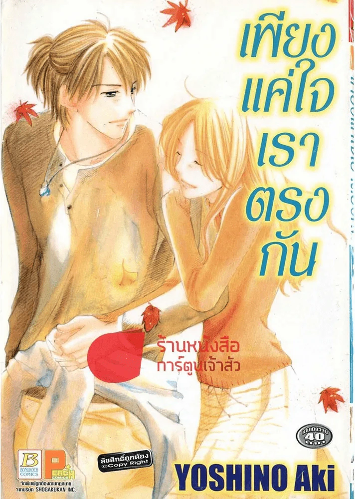 เพียงแค่ใจเราตรงกัน รูปที่ 1