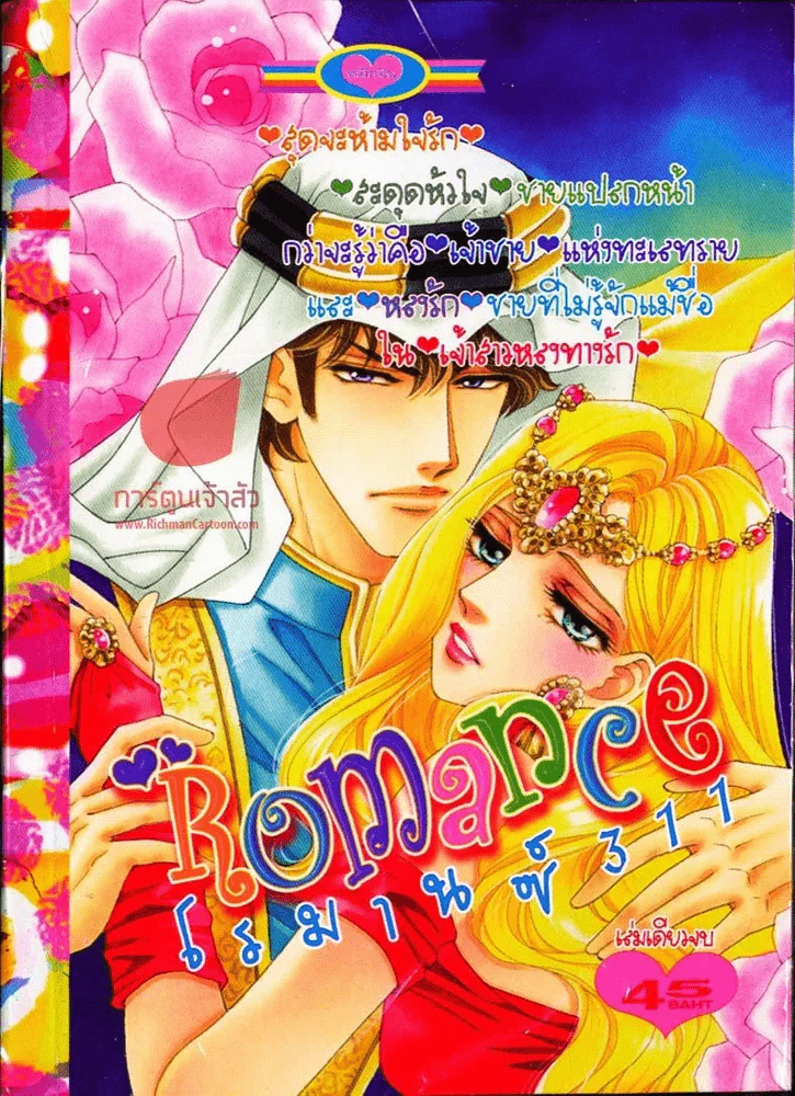 Romance โรมานซ์ 311 รูปที่ 1