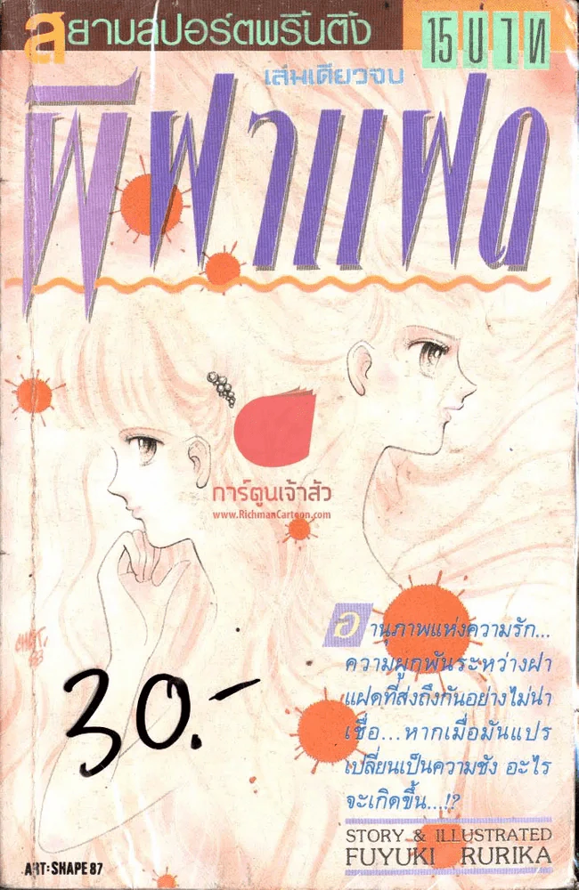 ผีฝาแฝด รูปที่ 1
