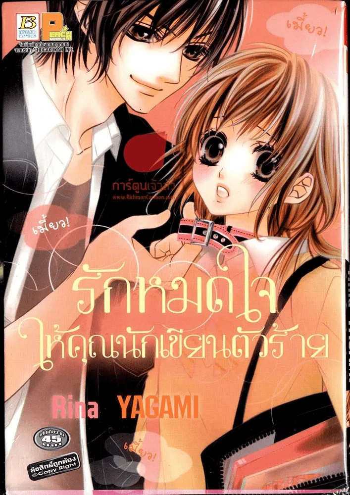 รักหมดใจให้คุณนักเขียนตัวร้าย รูปที่ 1