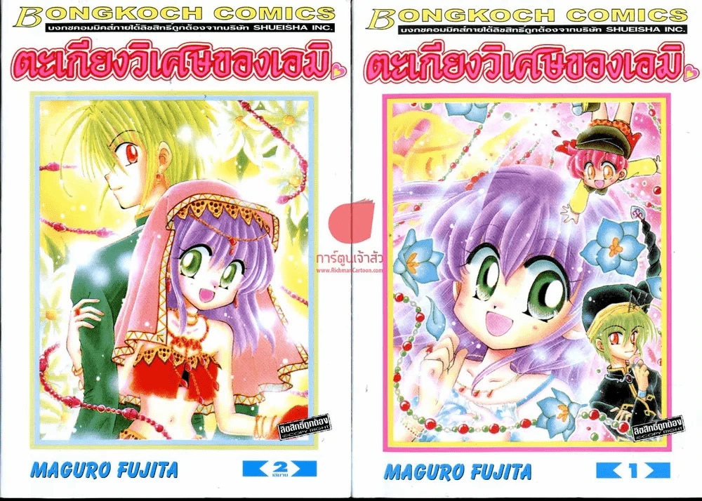 ตะเกียงวิเศษของเอมิ 2 เล่มจบ รูปที่ 1