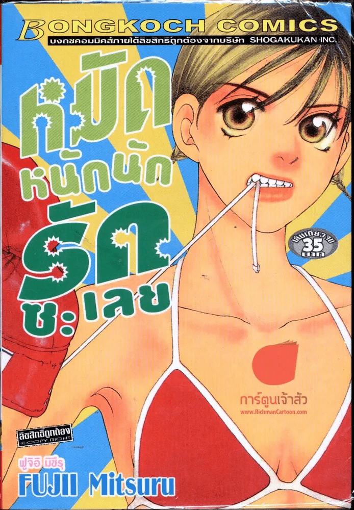 หมัดหนักนักรักซะเลย รูปที่ 1