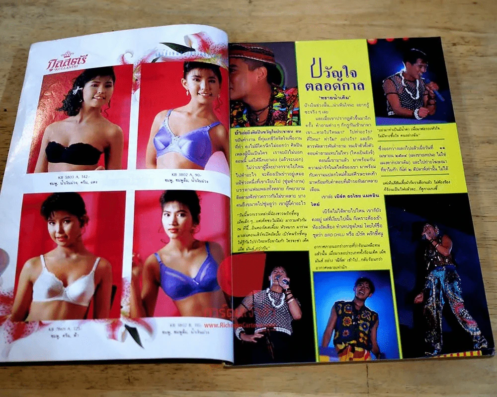 กุลสตรี ปีที่ 21 ฉบับที่ 489 ปักษ์หลัง พฤษภาคม 2534 ปกเบิร์ด ธงไชย รูปที่ 3