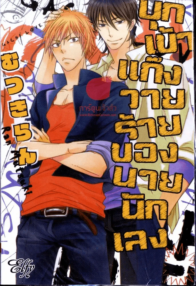บุกเข้าแก๊งวางร้ายของนายนักเลง รูปที่ 1