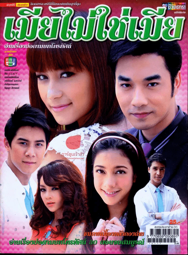 เมียไม่ใช่เมีย รูปที่ 1