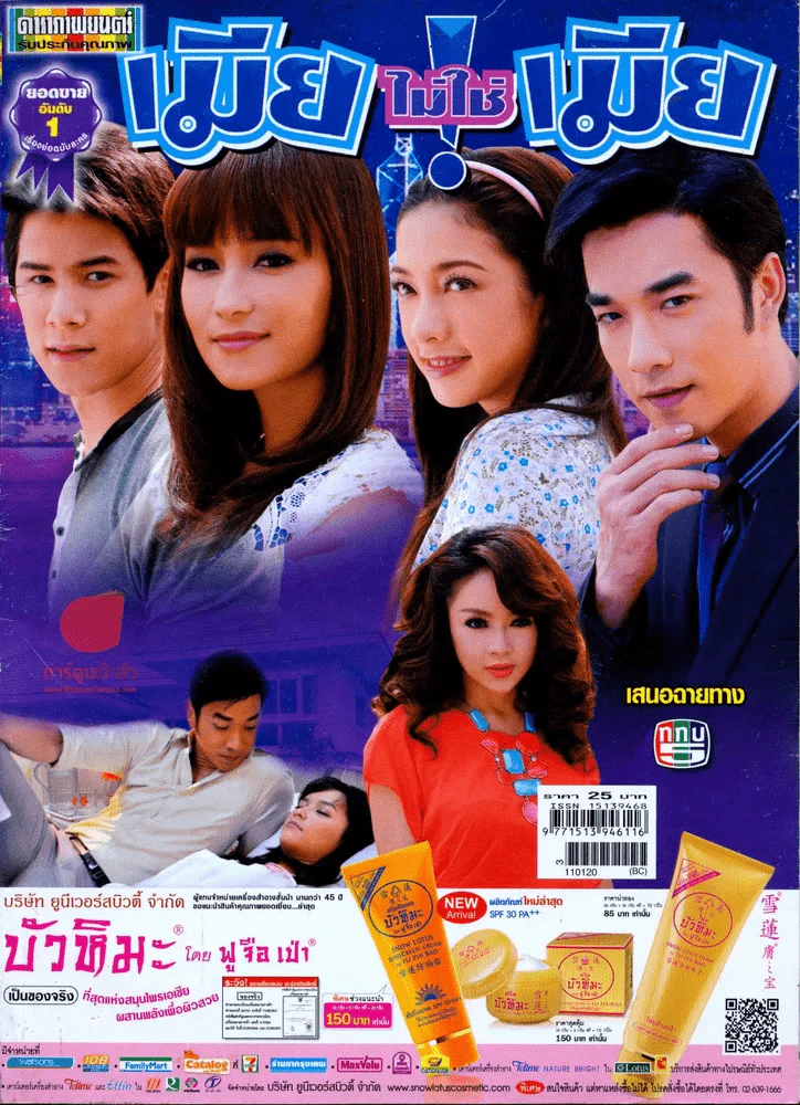 เมียไม่ใช่เมีย รูปที่ 1