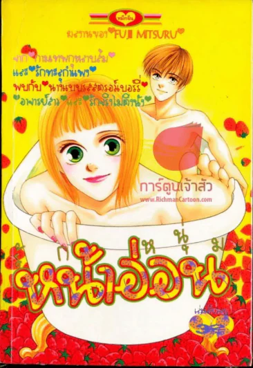 หนุ่มหน้าอ่อน รูปที่ 1