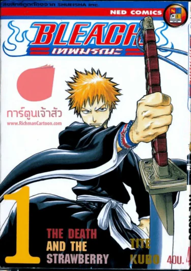 Bleach เทพมรณะ เล่ม 1 รูปที่ 1
