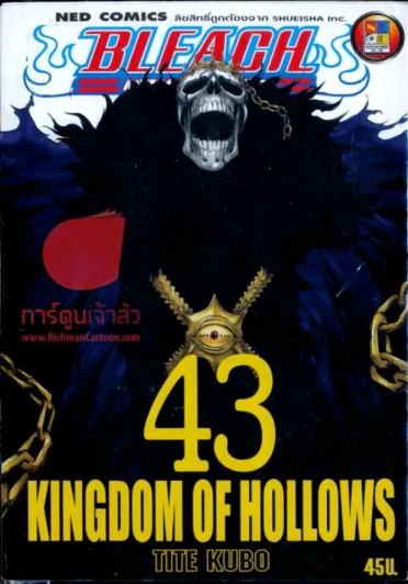 Bleach เทพมรณะ เล่ม 43 รูปที่ 1