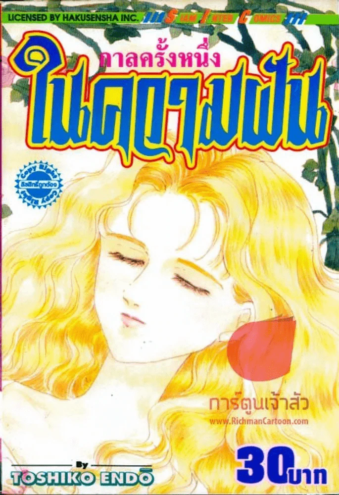 กาลครั้งหนึ่งในความฝัน รูปที่ 1