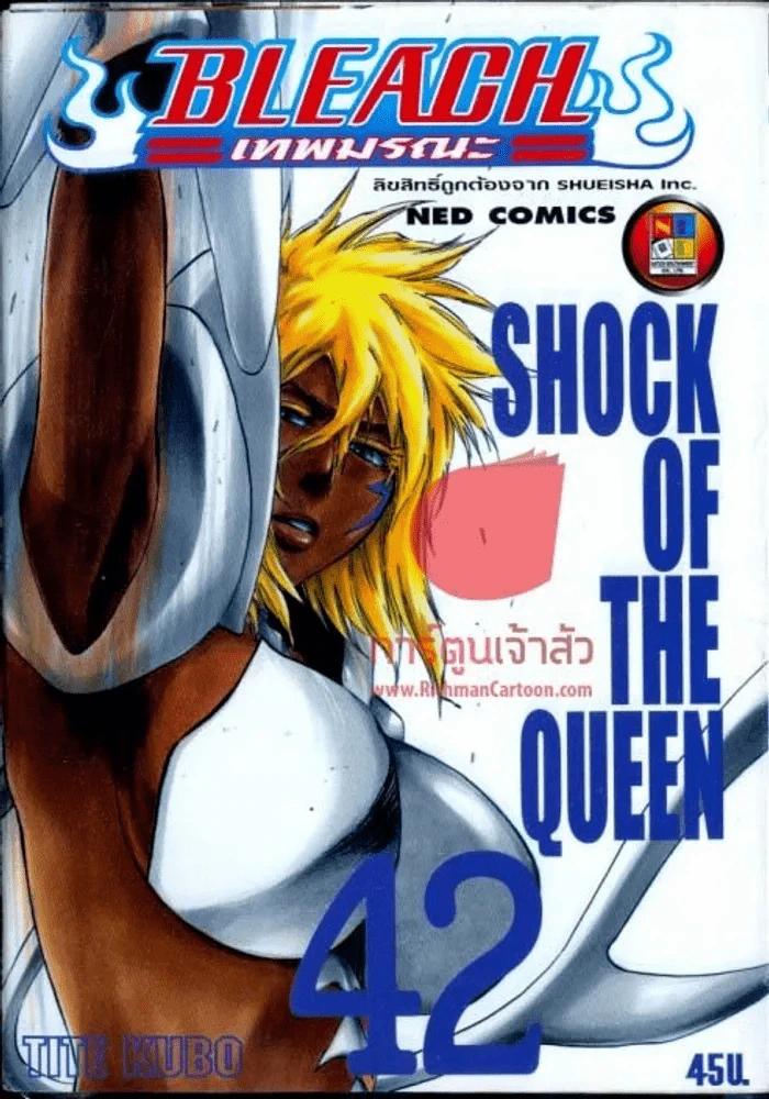 Bleach เทพมรณะ เล่ม 42 รูปที่ 1
