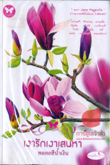 เงารักเงาเสห่หา รูปที่ 1