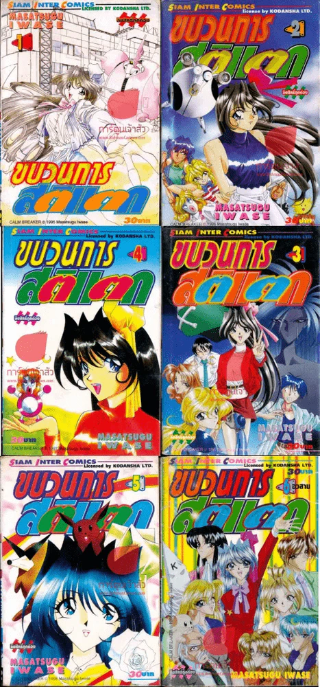 ขบวนการสติแตก 6 เล่มจบ รูปที่ 1