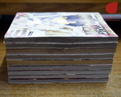 มาเฟียที่รัก 9 เล่มจบ รูปที่ 2